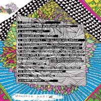 Feedback & Disaster