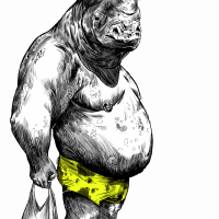 briefs 