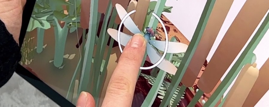 Insects & Us